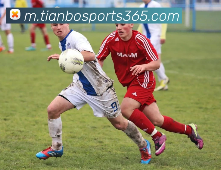 天博体育APP 高清赛事图